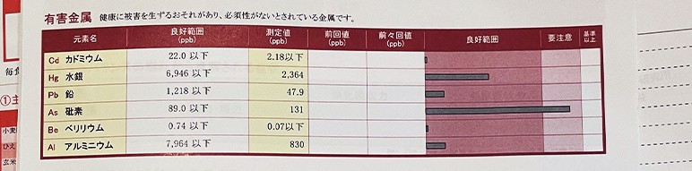 ミネラル検査の結果　有害なミネラル