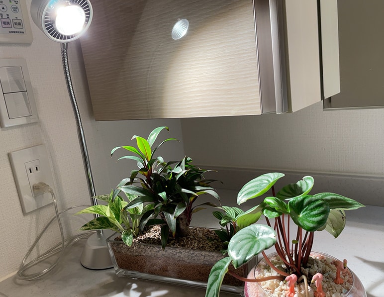 LED PlantLight 10W スタンドタイプ